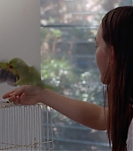 Filename=The_Non-Actor__2025.jpeg
Filesize=555KiB
Dimensions=2144x1206
Date added=Dec 26, 2025 The_Non-Actor__2025.jpeg